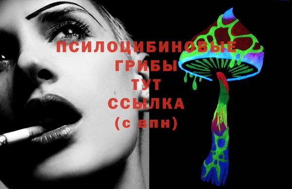 круглые Магас