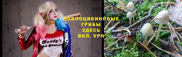 мет Медвежьегорск