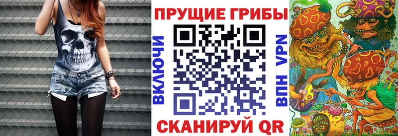 KRAKEN рабочий сайт  Новотитаровская  Псилоцибиновые грибы Psilocybine cubensis  купить  сайты 