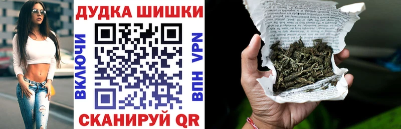 где купить наркоту  Новотитаровская  Бошки марихуана AK-47 
